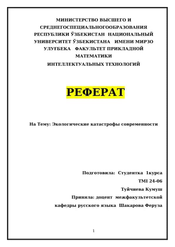 Реферат на тему "Экологические катастрофы современности"