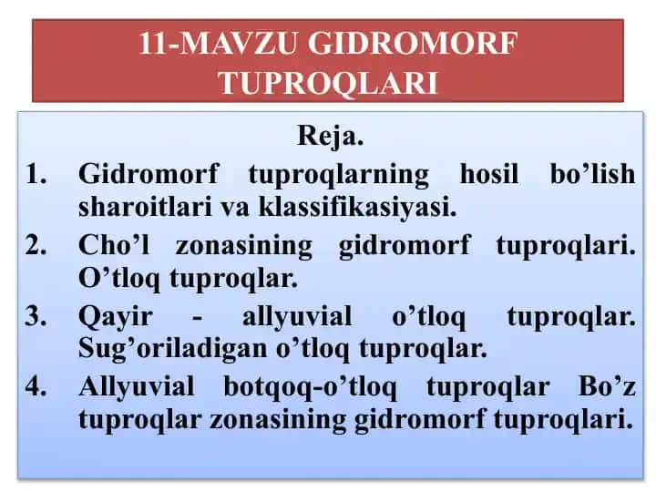 Gidromorf tuproqlar