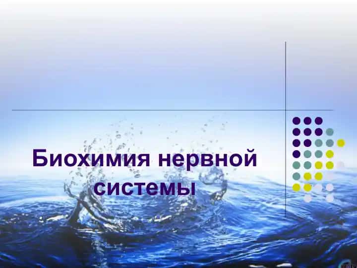 Биохимия нервной системы