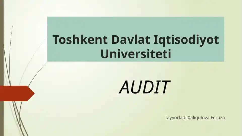 Audit