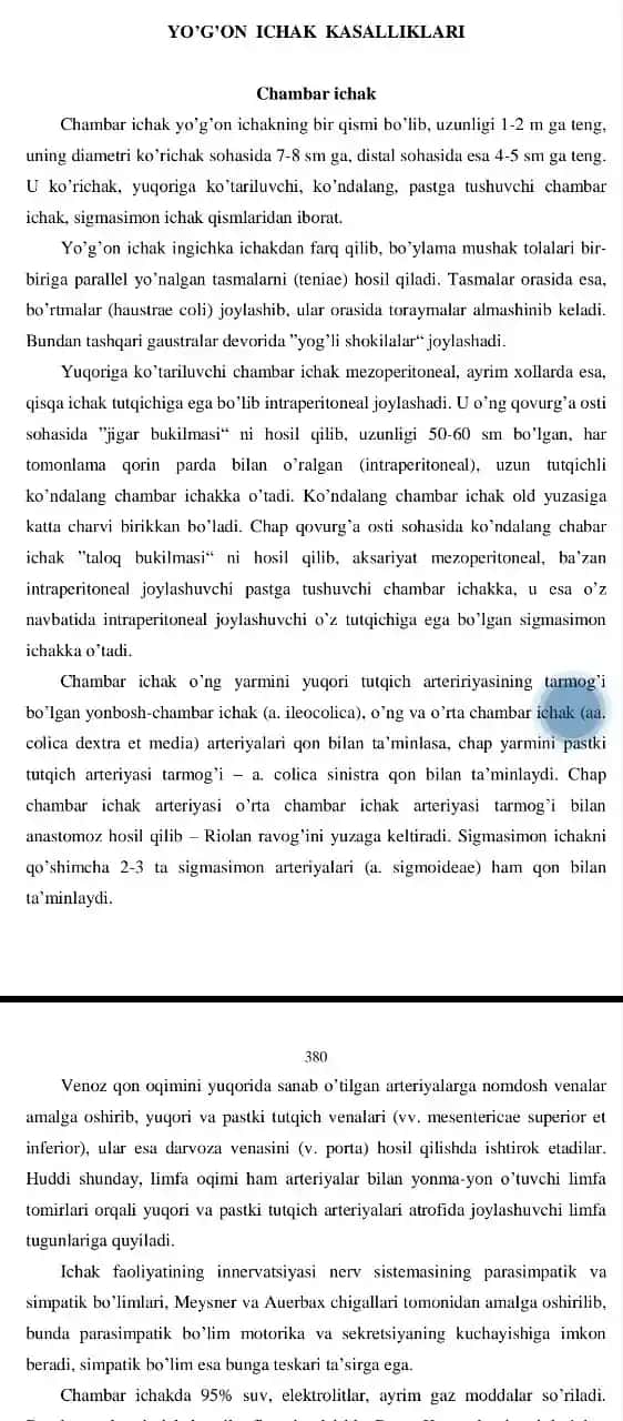 Chambar Ichak Kasalliklari