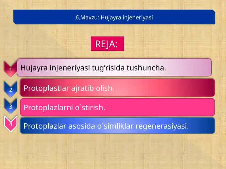 Hujayrainjeneriyasi