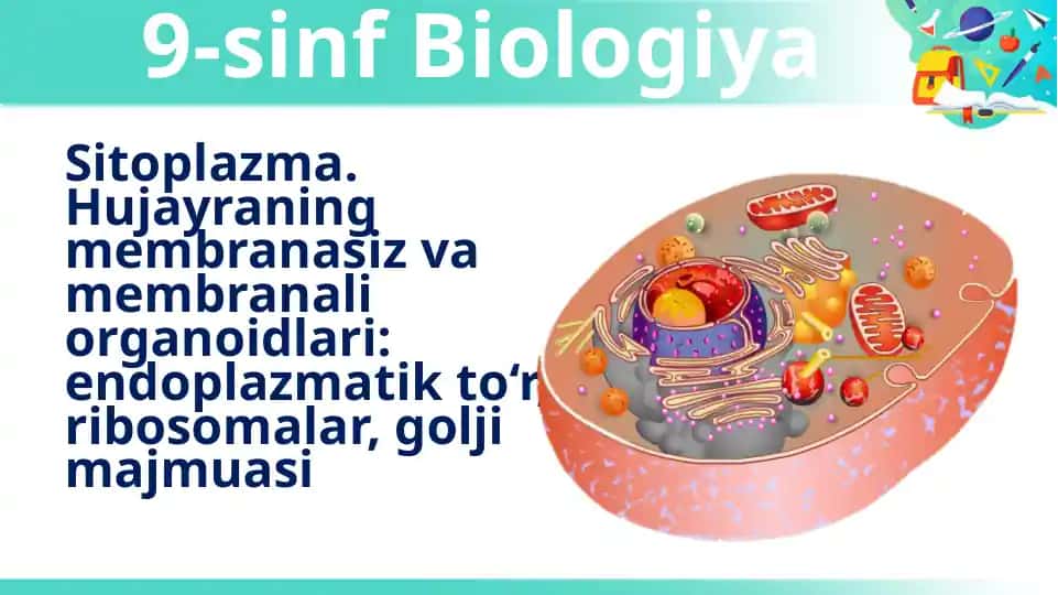 Sitoplazma. Hujayraning membranasiz va membranali organoidlari: endoplazmatik to‘r, ribosomalar, golji majmuasi