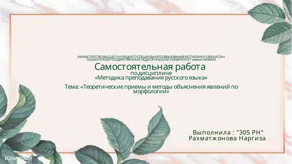 Система упражнений по морфологии