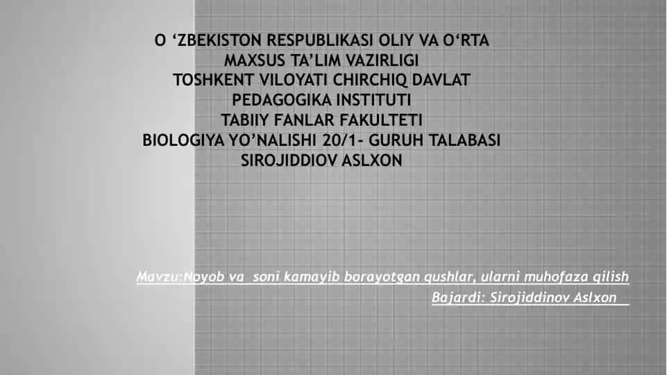 Noyob vasonikamayib bora yotgan qushlar haqida