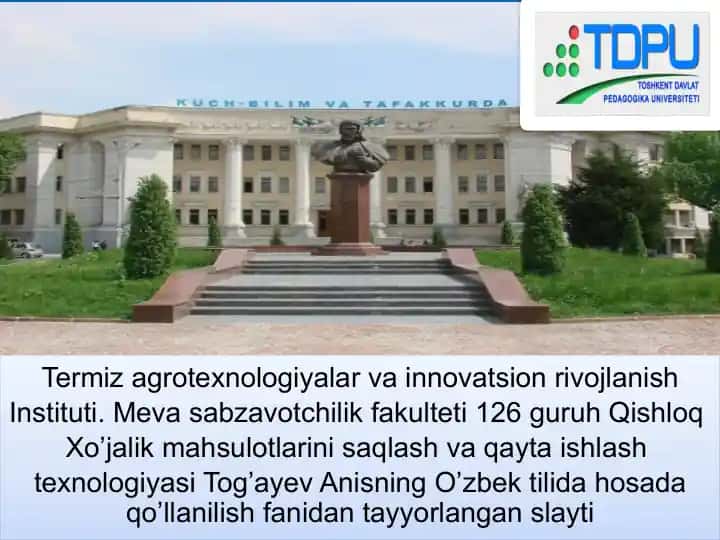 Termiz agrotexnologiyalar va innovatsion rivojlanish