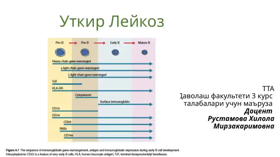 Уткир Лейкоз