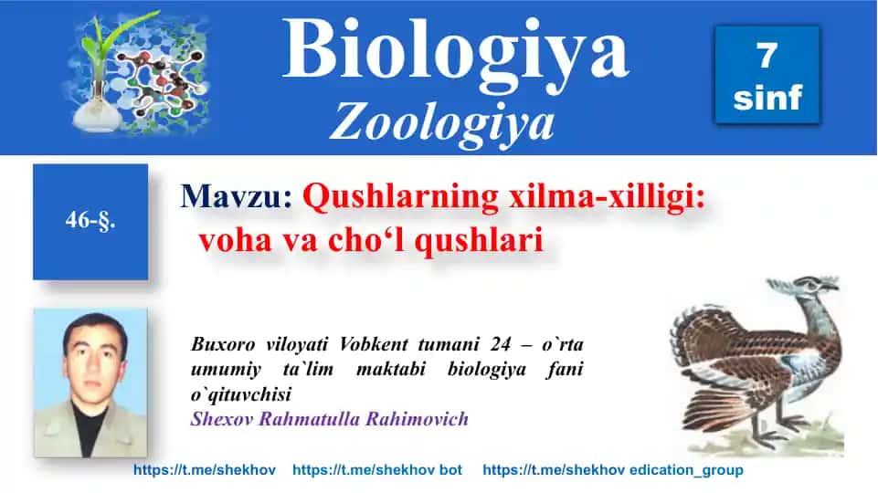Qushlarning xilma-xilligi: voha va cho‘l qushlari