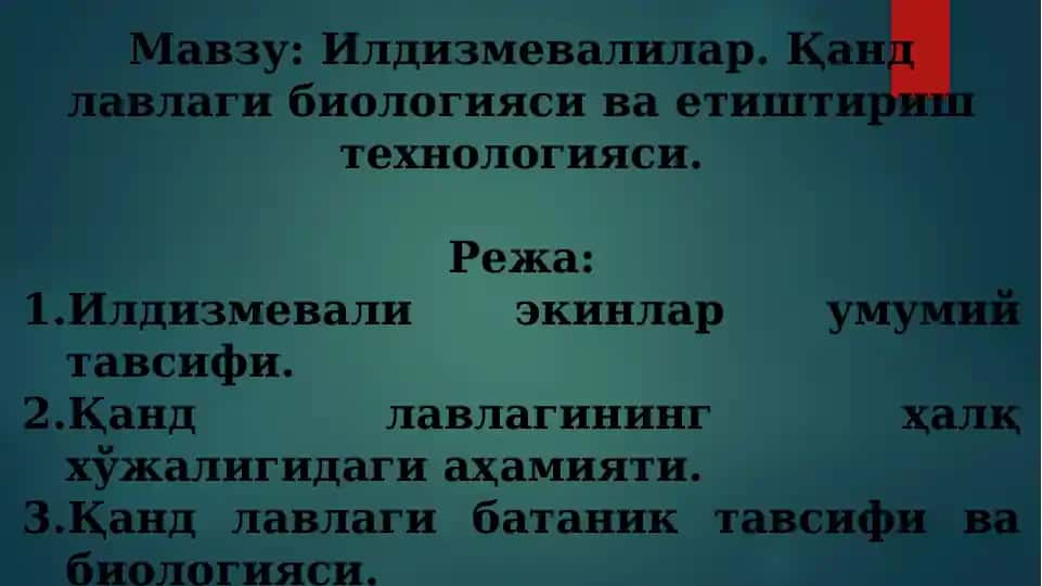 Илдизмевалилар