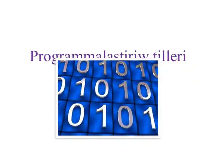 Programmalastırıw sistemaları