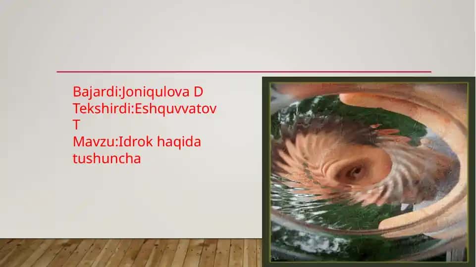 Idrok haqida tushuncha