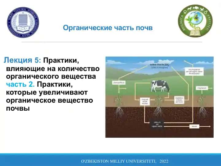 Органические части почв