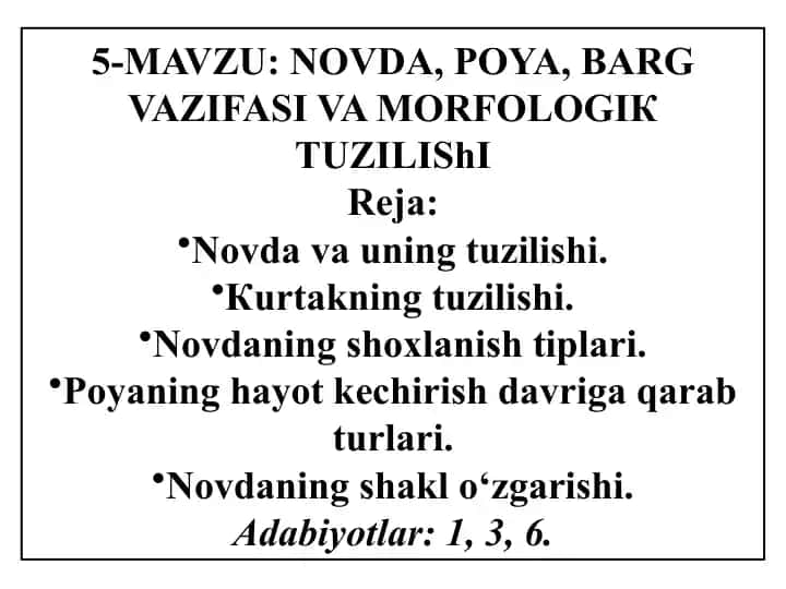 NOVDA, POYA, BARGVAZIFASI VA MORFOLOGIКTUZILIShI