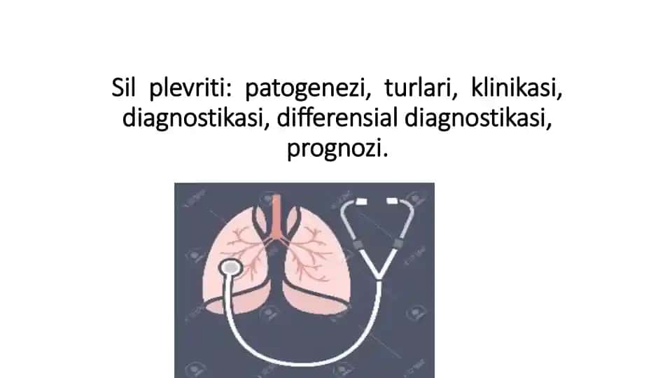 Sil plevriti