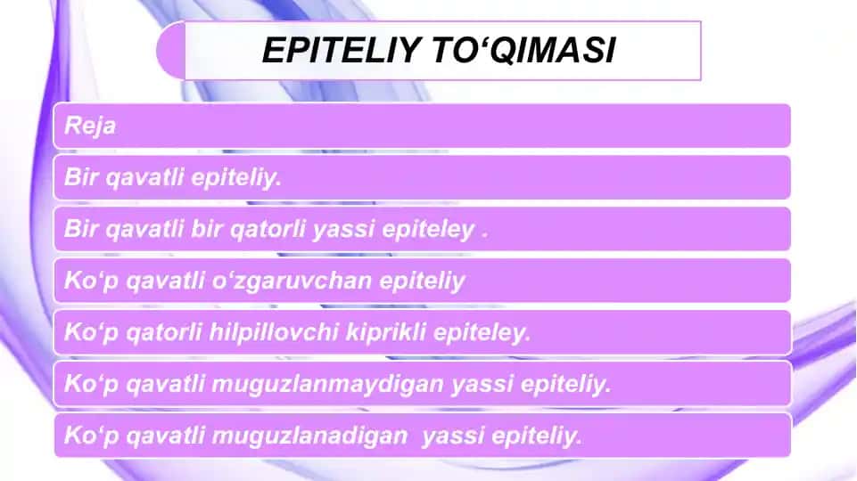 EPITELIY TО‘QIMASI