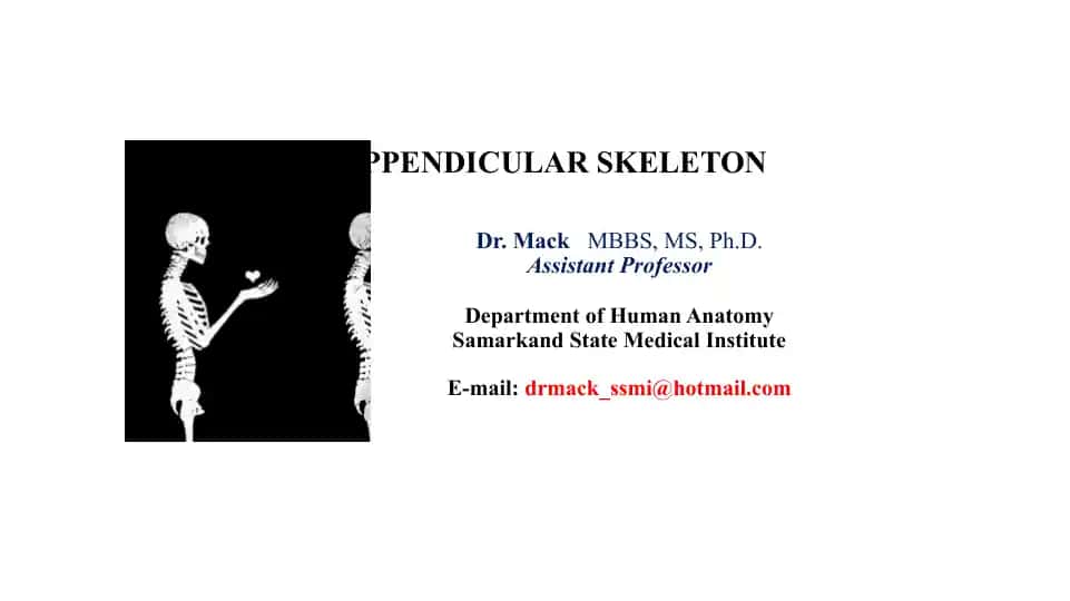Appendicular Skeleton