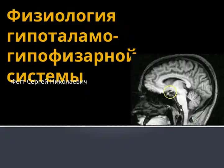 Физиология гипоталамо-гипофизарной системы