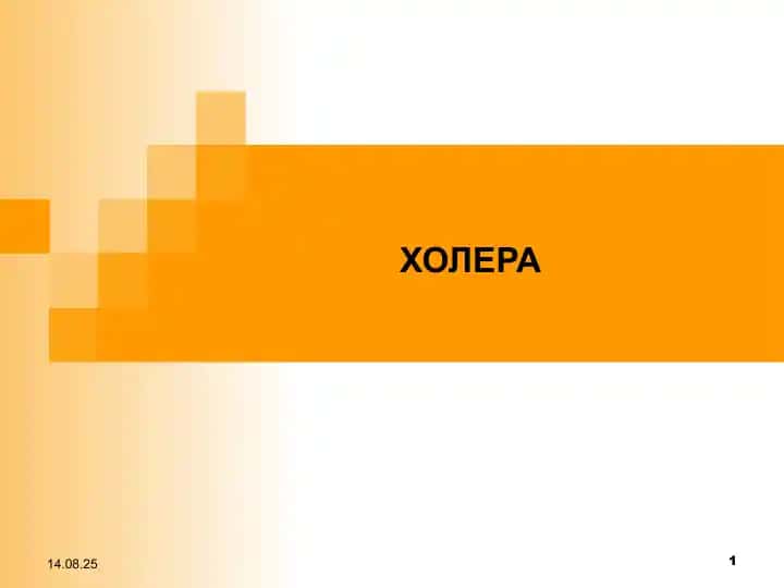 Холера