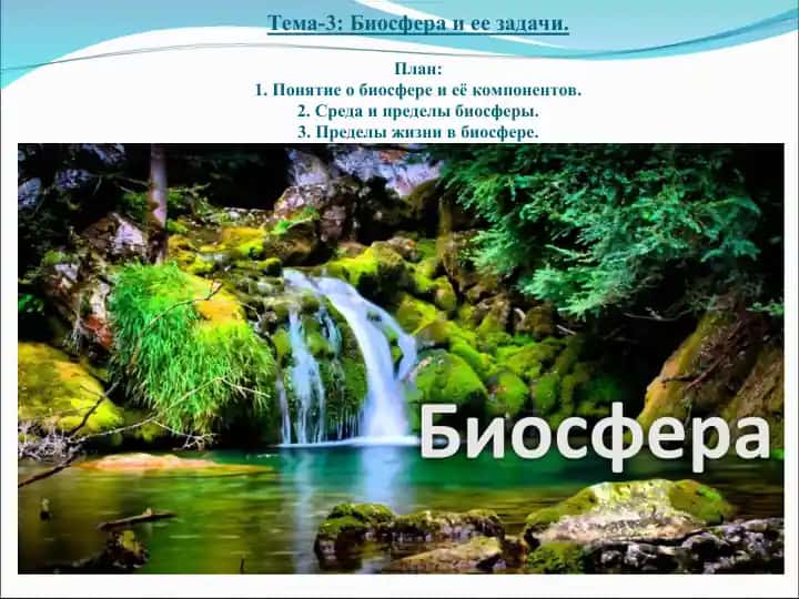 Биосфера