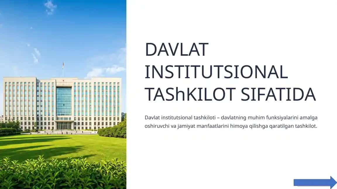 Davlat Institutsional Tashkilot Sifatida