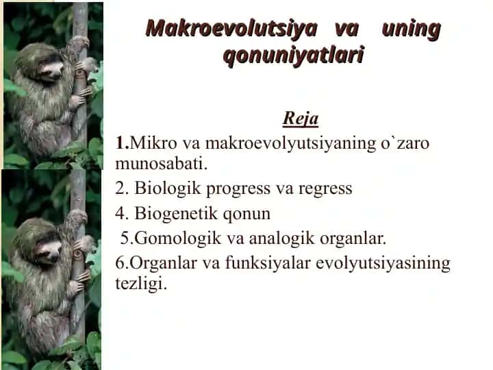 Makroevolutsiya va uning qonuniyatlari
