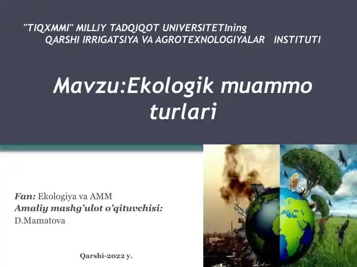Ekologik muammo turlari