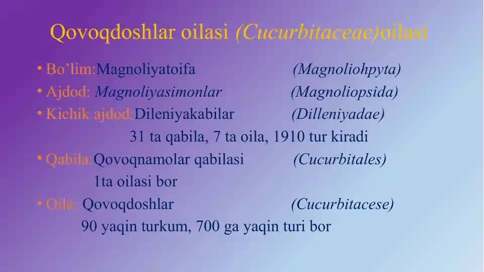 Qovoqdoshlar oilasi
