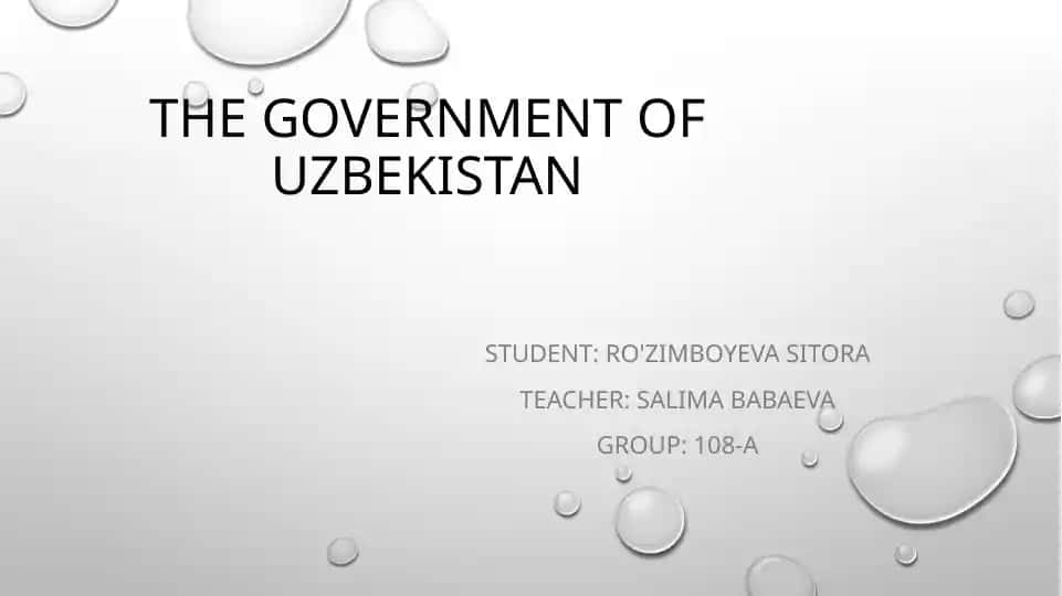 The Government of Uzbekistan