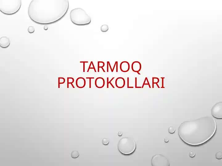 Tarmoq protokollari