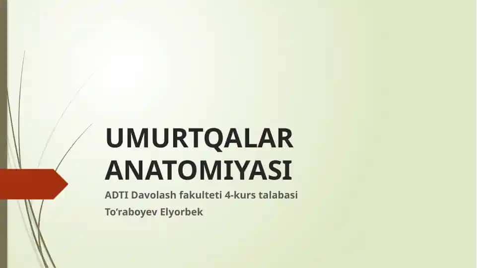 Umurtqalar Anatomiyasi