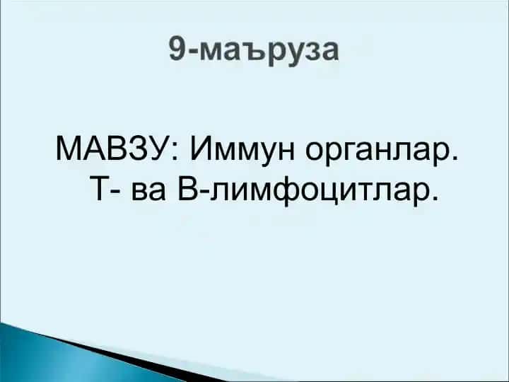 Иммун органлар. Т- ва В-лимфоцитлар