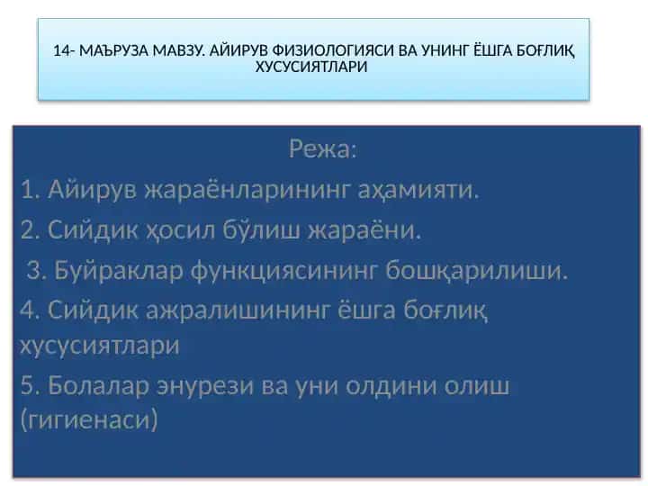 МАЪРУЗА МАВЗУ. АЙИРУВ ФИЗИОЛОГИЯСИ ВА УНИНГ ЁШГА БОҒЛИҚ ХУСУСИЯТЛАРИ