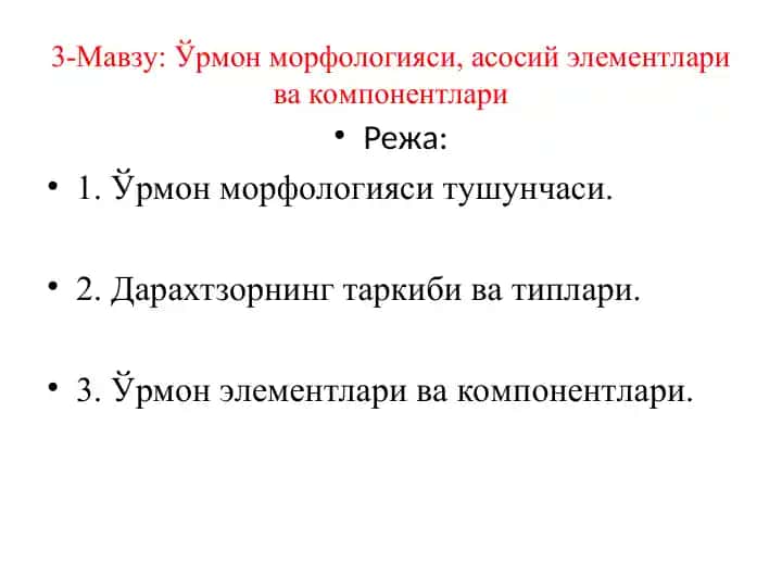 Ўрмон морфологияси, асосий элементлари ва компонентлари