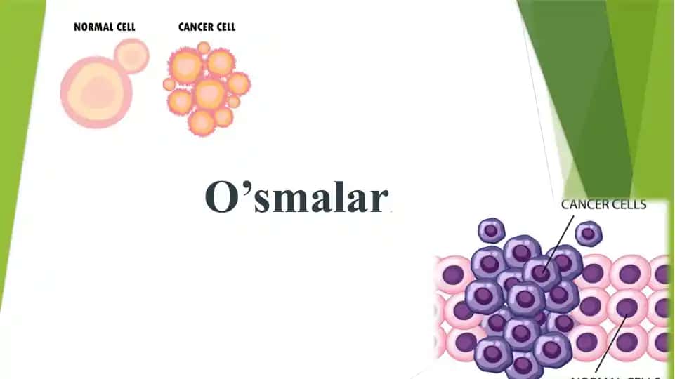 O’smalar