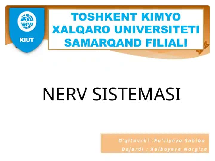 Nerv Sistemasi