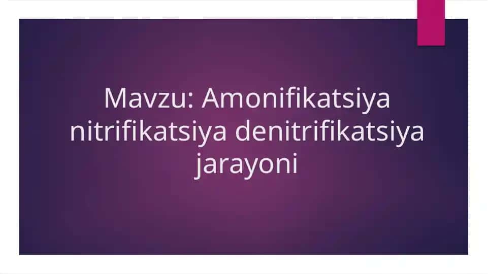 Amonifikatsiya nitrifikatsiya denitrifikatsiya jarayoni