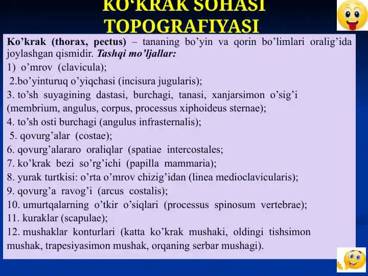 KO‘KRAK SOHASI TOPOGRAFIYASI.