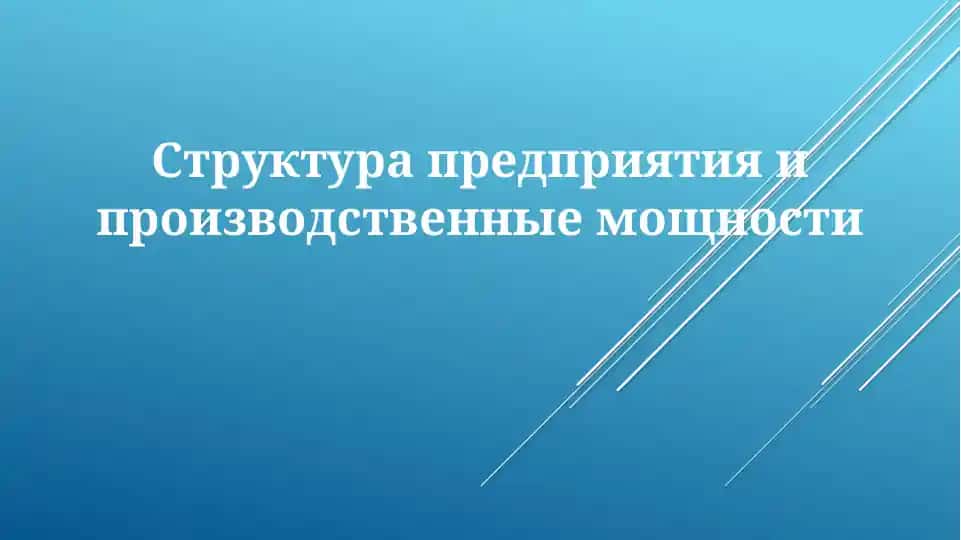 Организационная структура предприятия
