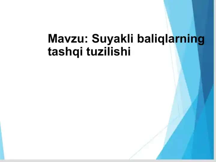 Suyakli baliqlarning tashqi tuzilishi