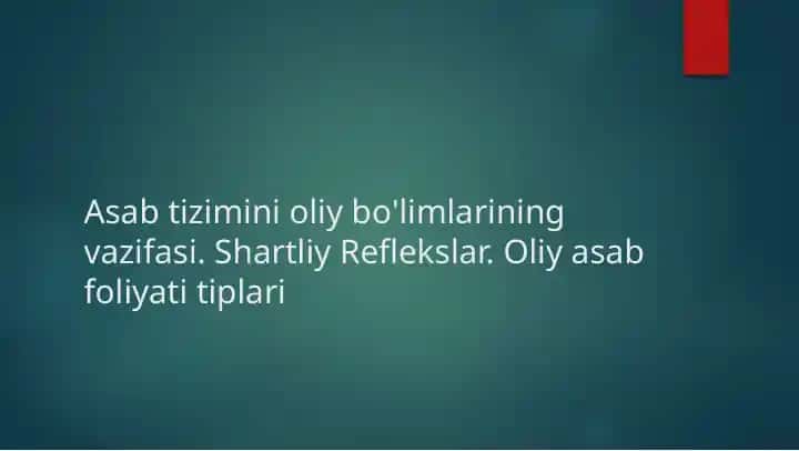 Asab tizimini oliy bo'limlarining vazifasi