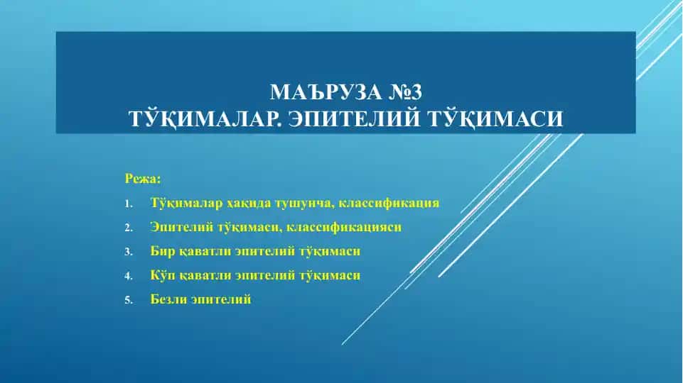 Эпителийтўқимаси
