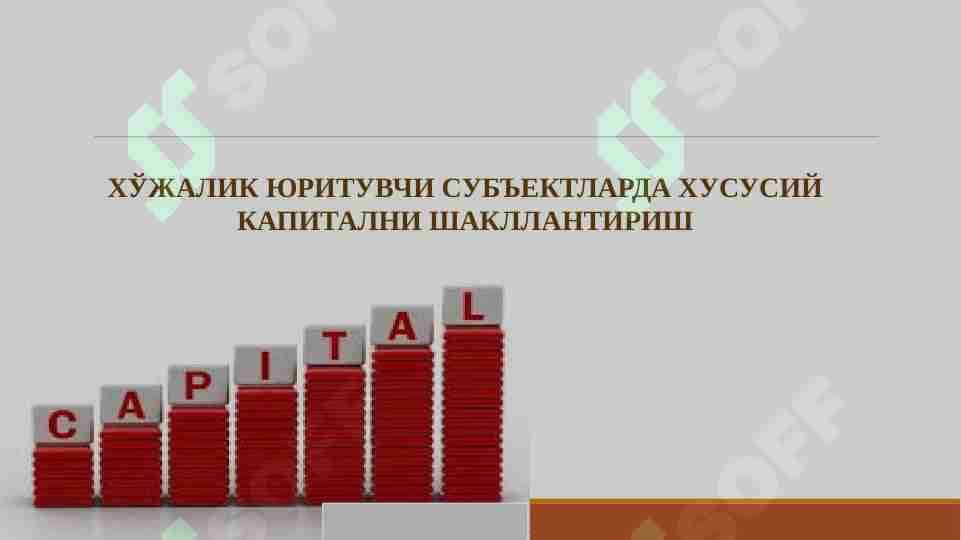 ХЎЖАЛИК ЮРИТУВЧИ СУБЪЕКТЛАРДА ХУСУСИЙ КАПИТАЛНИ ШАКЛЛАНТИРИШ