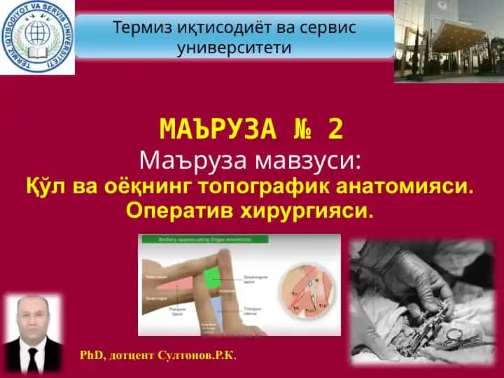 Қўл ва оёқнинг топографик анатомияси