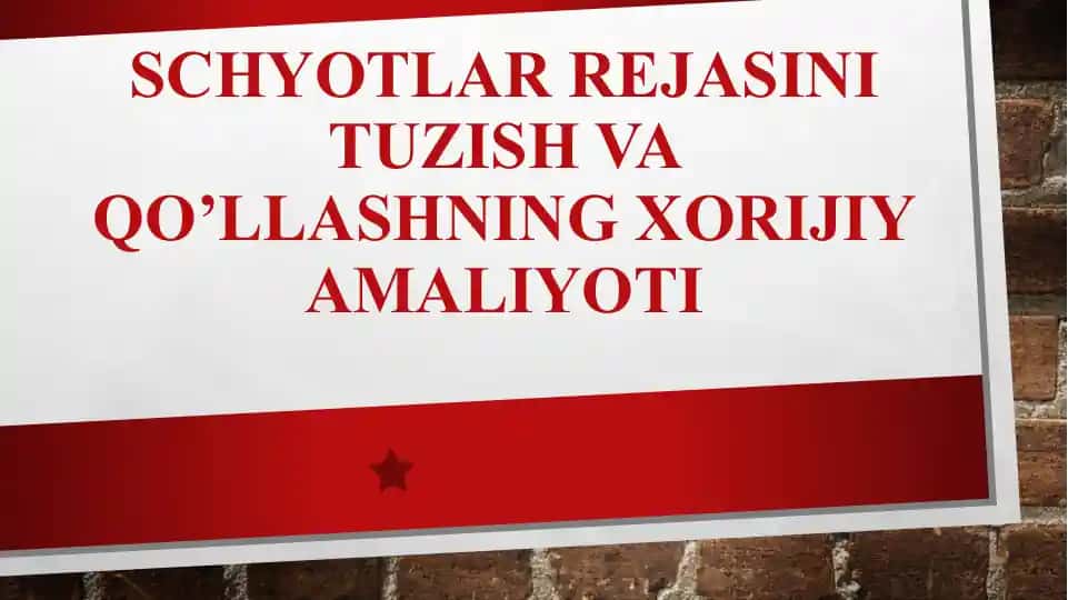 Schyotlar rejasi tuzish va qo’llashning xorijiy amaliyoti