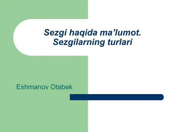 Sezgilar