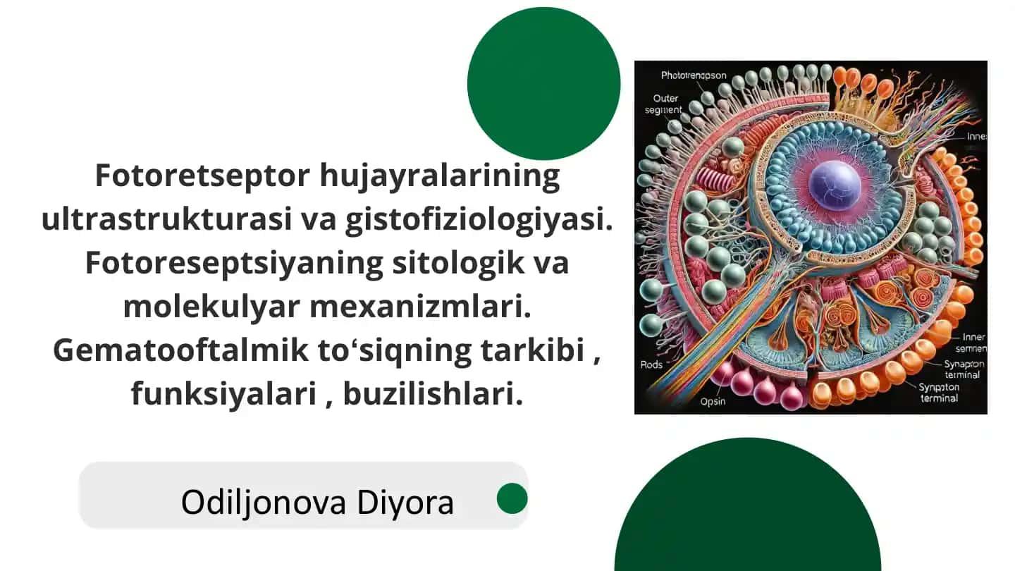 Fotoqabul va signal uzatish