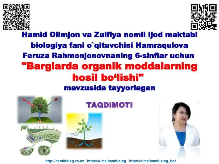 "Barglarda organik moddalarning hosil bo‘lishi"