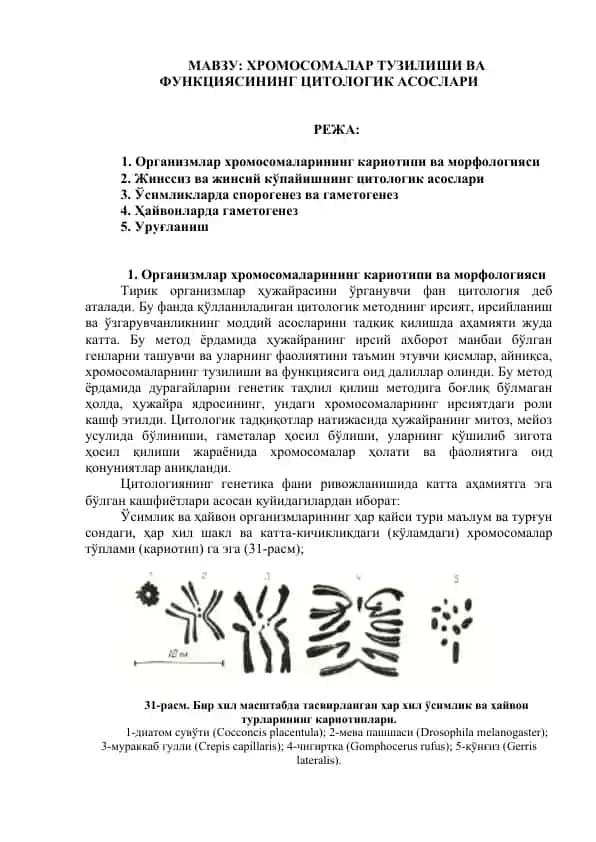 Хромосомалар тузилиши ва funksiya