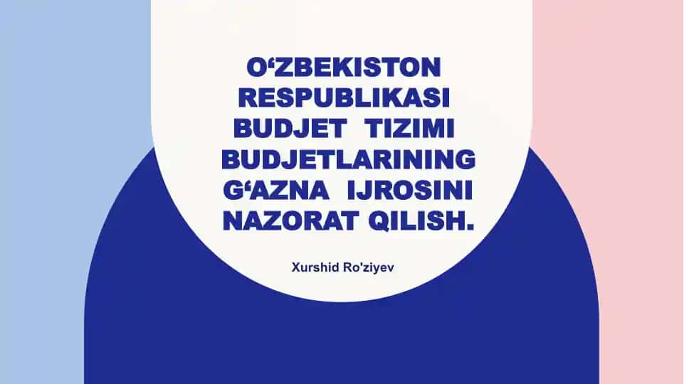 O‘zbekiston Respublikasi budjet tizimi budjetlarining g‘aznai jarayonini nazorat qilish
