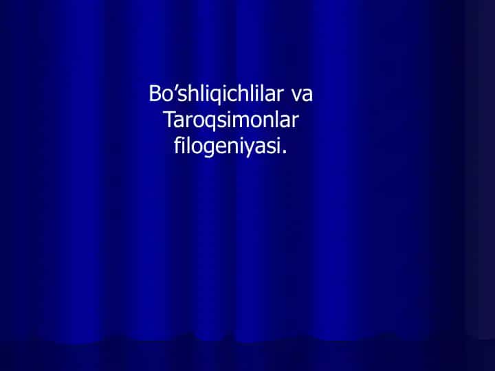 Bo'shliqichlar va Taroqsimonlar filogeniyasi